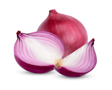 AdobeStock_537804670